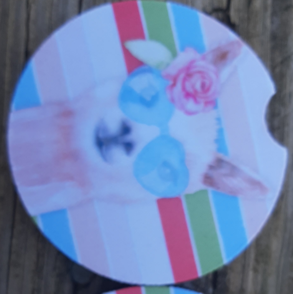 Car coasters